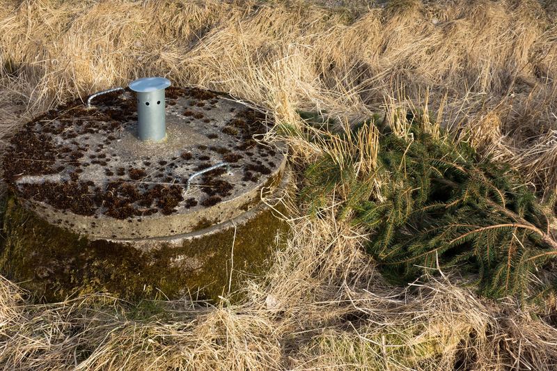 Concrete lid of a rural septic tank set in long grass